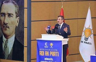 Cumhurbaşkanı Yardımcısı Yılmaz: "Ülkemiz...