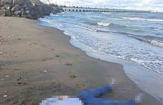 Denize düşen gencin cansız bedenine ulaşıldı