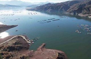 Denizi olmayan Tokat’ın somonları dünya sofralarına...