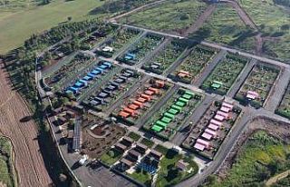 Deprem bölgesinde eskidi, Balıkesir’de can dostlara...