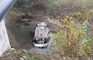 Dereye uçan otomobilin sürücüsü yaralandı
