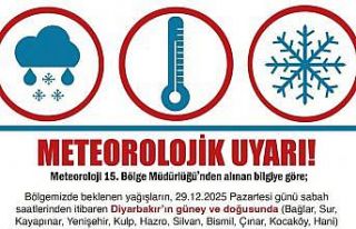 Diyarbakır Valiliğinden kar uyarısı