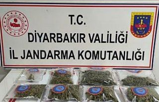Diyarbakır’da 25 kilo esrar ele geçirildi