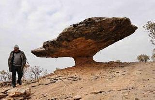 Diyarbakır’da buzul çağ kalıntısı: Tam 6 milyon...