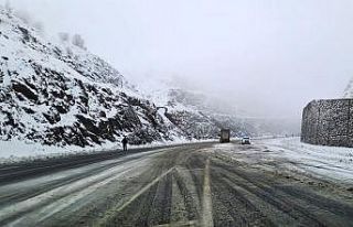 Diyarbakır’da kar yağışı etkili oldu, bazı...