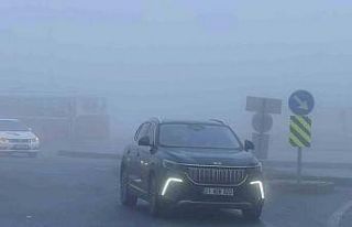 Diyarbakır’da uçak seferlerine sis engeli