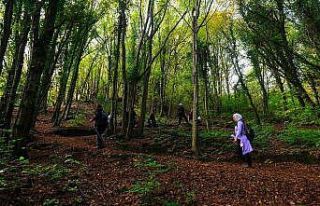 Doğaseverler Sakarya’nın eşsiz doğasını keşfetti