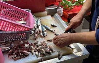 Doğru bilinen yanlışı uzmanı açıkladı: "Gözüne...