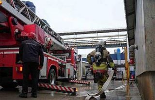 Düzce itfaiyesi 700 yangına müdahale etti