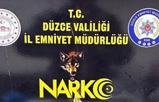 Düzce’de uyuşturucu operasyonu 1 tutuklama
