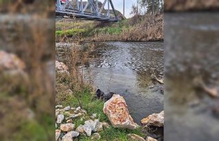 Ege Ekspresi’nin çarptığı yaya hayatını kaybetti