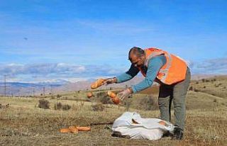 Elaızığ’da doğaya yem bırakıldı