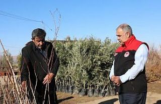 Elazığ’da fidancılık işletmelerine denetim