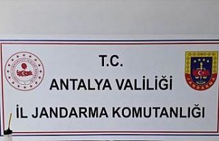 Elmalı’da jandarmadan uyuşturucu baskını