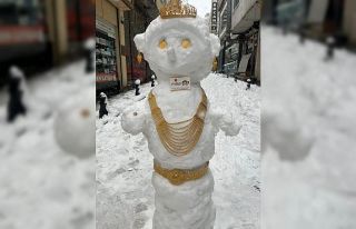 En ’değerli’ kardan gelin