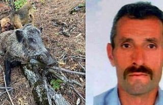 Erzincan’da domuzun saldırısına uğrayan avcı...