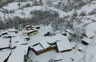 Erzincan’da kar ve tipi ulaşımı olumsuz etkiledi:...