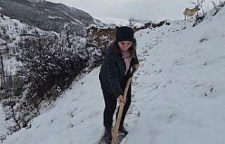 Erzincan’ın yüksek kesimleri beyaza büründü