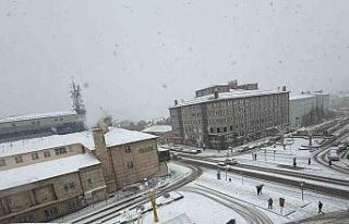 Erzurum’da kar yağışı etkili oluyor