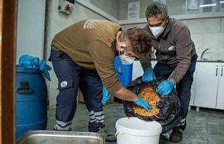 Esenyurt Belediyesi’nden israfı önleyen örnek...