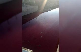 Esenyurt’ta derenin rengi kırmızıya döndü