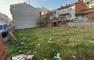 Eskişehir’de boş arsada 8 ölü kedi bulundu