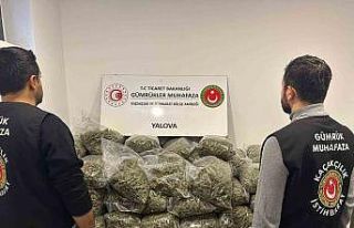 Fransa’dan Yalova’ya gemiyle gelen tırda 37 kilo...