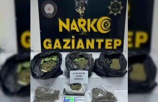 Gaziantep’te 22 kilo skunk ile çok sayıda silah...