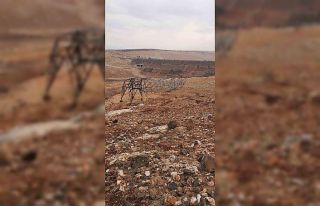 Gaziantep’te elektrik direği hırsızlığı tekrarlandı:...