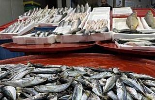 Geciken kış Konya’da balığı da vurdu