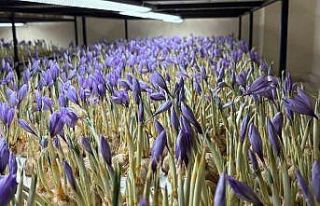 Genç yaşta mesleğini bıraktı, 50 metrekare odada...