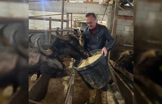 Giresun’da 286 manda işletmesine 12,3 milyon TL...