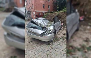 Giresun’da devrilen ağaç bir aracı kullanılamaz...