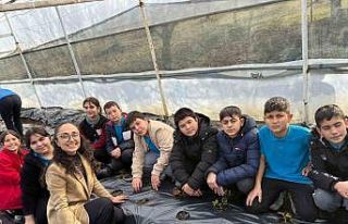 Gördes’te çilekler engelliler için yetişecek