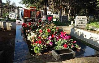 Güllü’nün mezarı gül bahçesine döndü