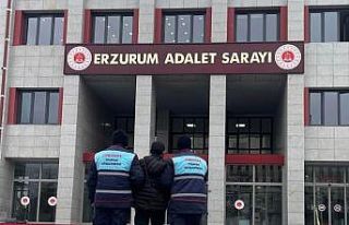 Hakkında 17 yıl hapis cezası bulunan şahıs Jandarma...