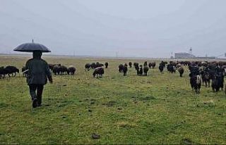 Hasköy’de sıcaklığın mevsim normalleri üzerinde...