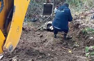 Hatay’da dereye düşen inek itfaiye ekipleri tarafından...