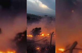 Hatay’da otluk alanda çıkan yangın kısa sürede...