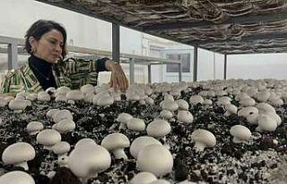 Hem eğitim görüp hem üretiyorlar