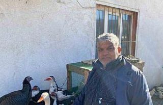 Hindi var, kaz var alıcı yok: Tezgâhlarda durgunluk