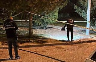 Husumetli iki grup arasında çıkan kavga kanlı...