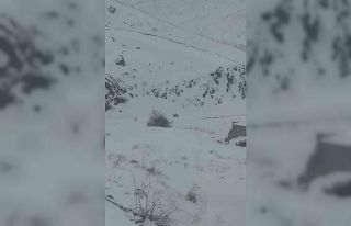 Iğdır’da aç kalan 3 vaşak köye indi