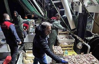 İğneada Balıkçı Barınağı’nda su ürünleri...