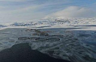 İlçe adeta dondu, termometreler -19.4’ü gösterdi