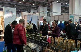 İzmir fuarına Düzce damgası