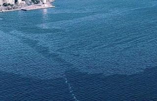 İzmir Körfezi’nde çevre kirliliği