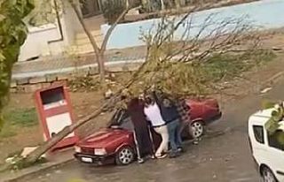 İzmir’de park halindeki otomobilin üzerine ağaç...