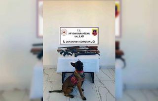Jandarmadan ruhsatsız silah operasyonu