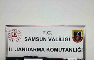 Jandarmadan uyuşturucu operasyonu: 2 gözaltı